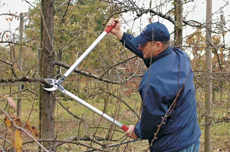 Škare Felco 231 - Slika 3