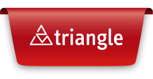 rtiangle_logo-1-png