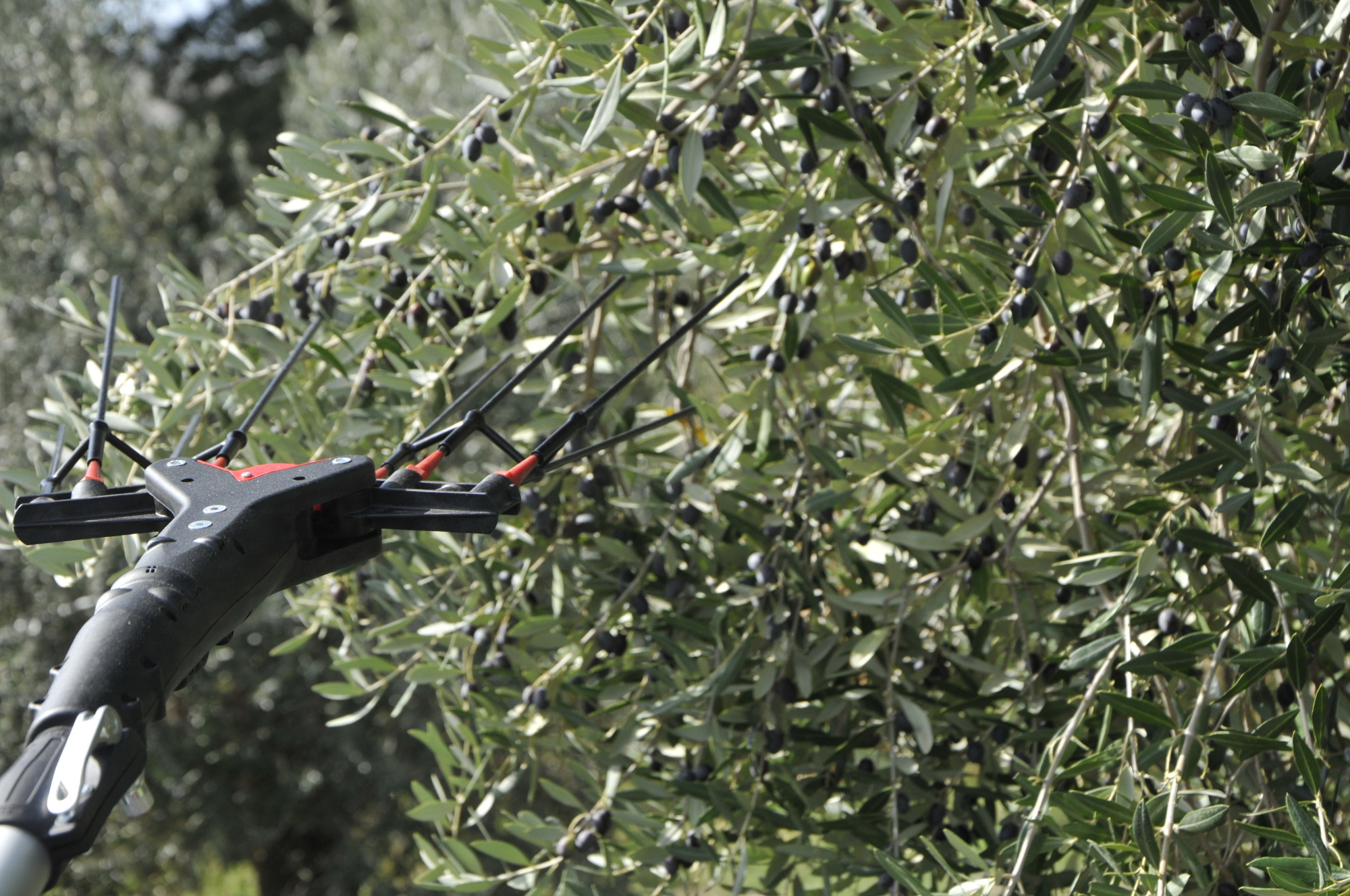 Tresač plodova VERTIGO L 30V - Slika 6