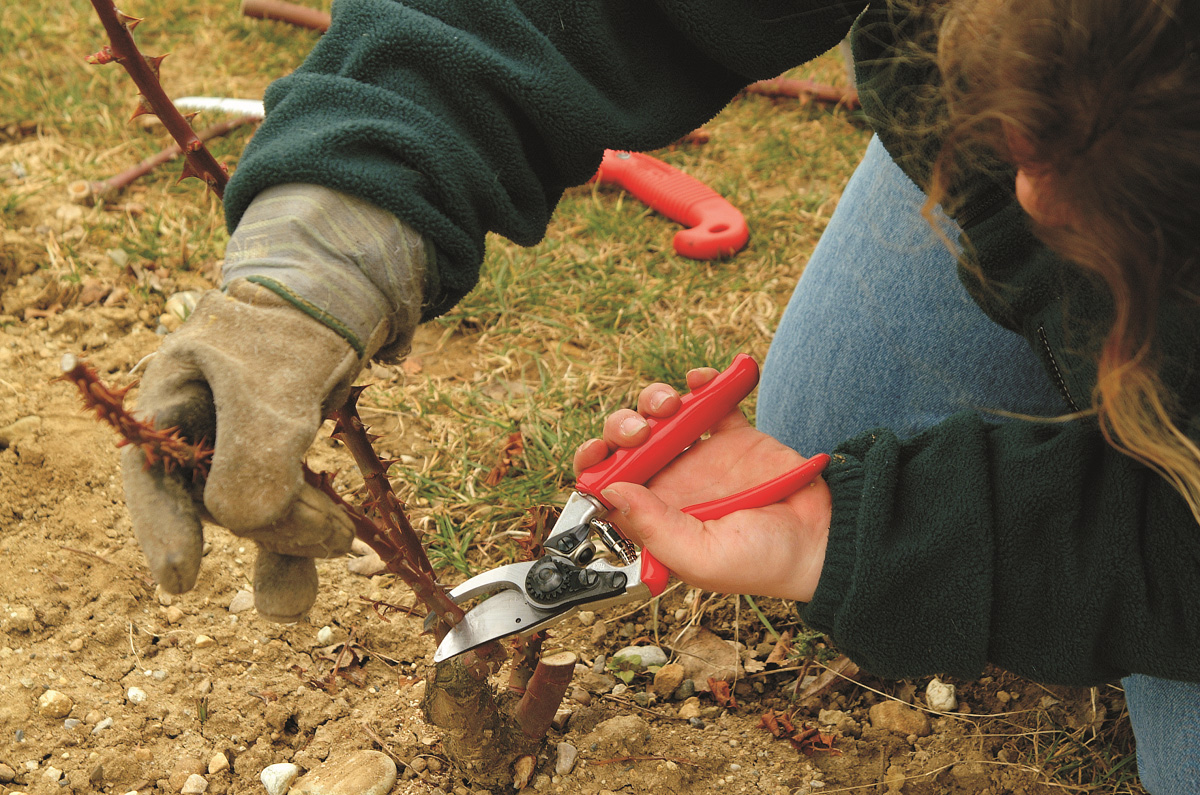 Škare Felco 10 - Slika 3