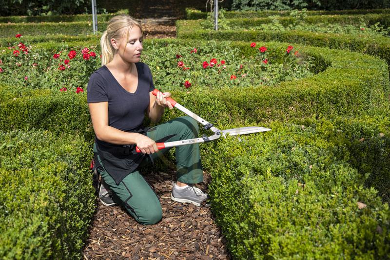 Škare za živicu FELCO 250-63 - Slika 4