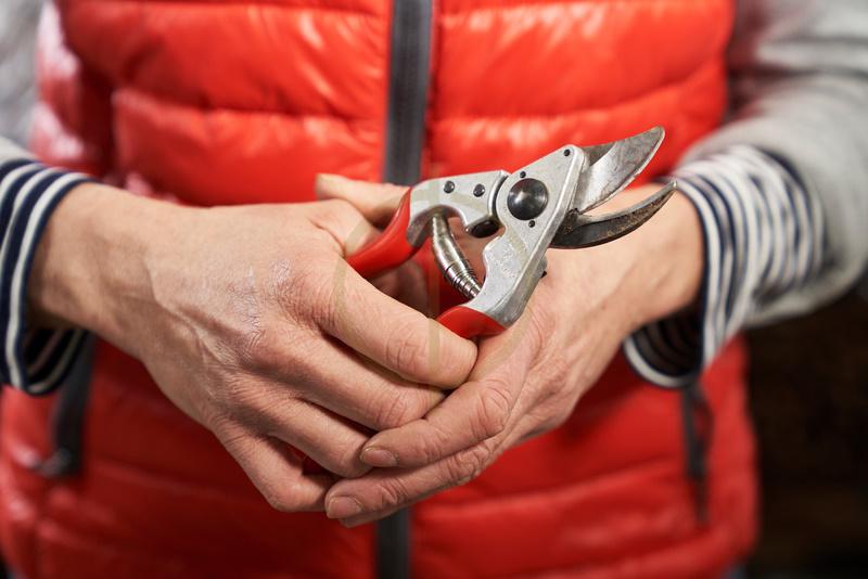 Škare Felco 14 - Slika 2