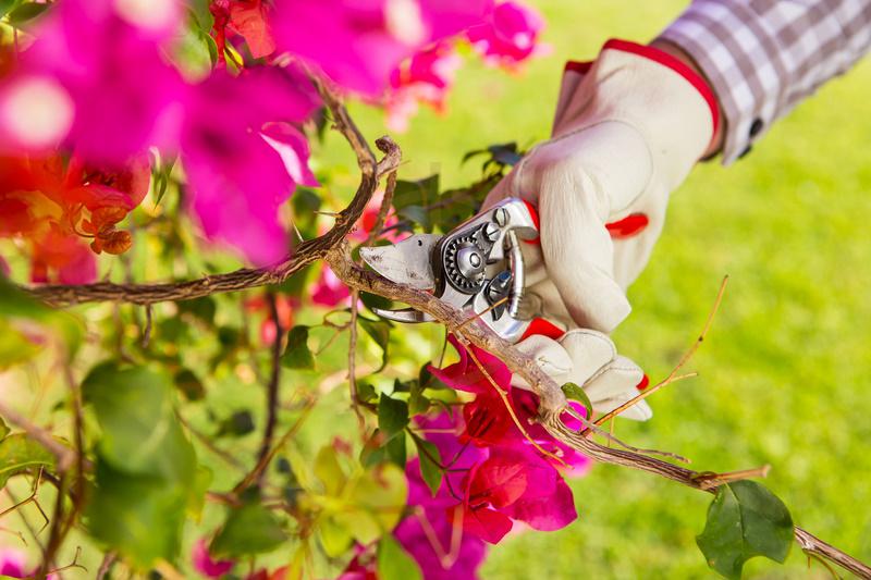 Škare Felco 14 - Slika 3